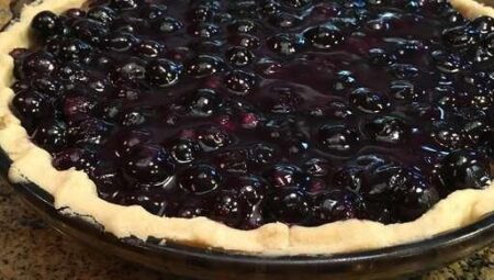 Patsy’s Half-Baked Blueberry Pie