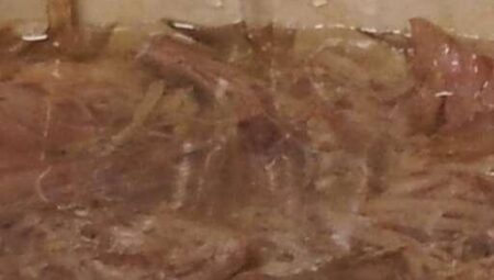 Easy Pork Brine